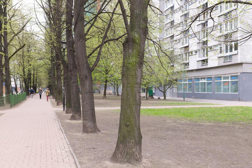 Studio Grzybowska - Warsaw Center 객실 사진